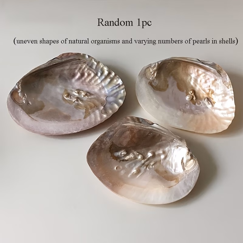  Pearl Seashell Decorative Tray