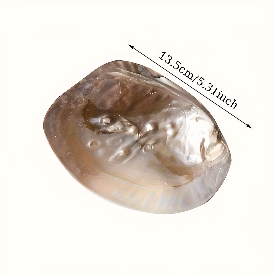  Pearl Seashell Decorative Tray