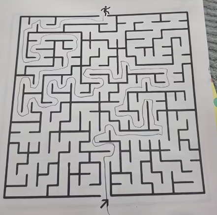 Focus Maze Training Book