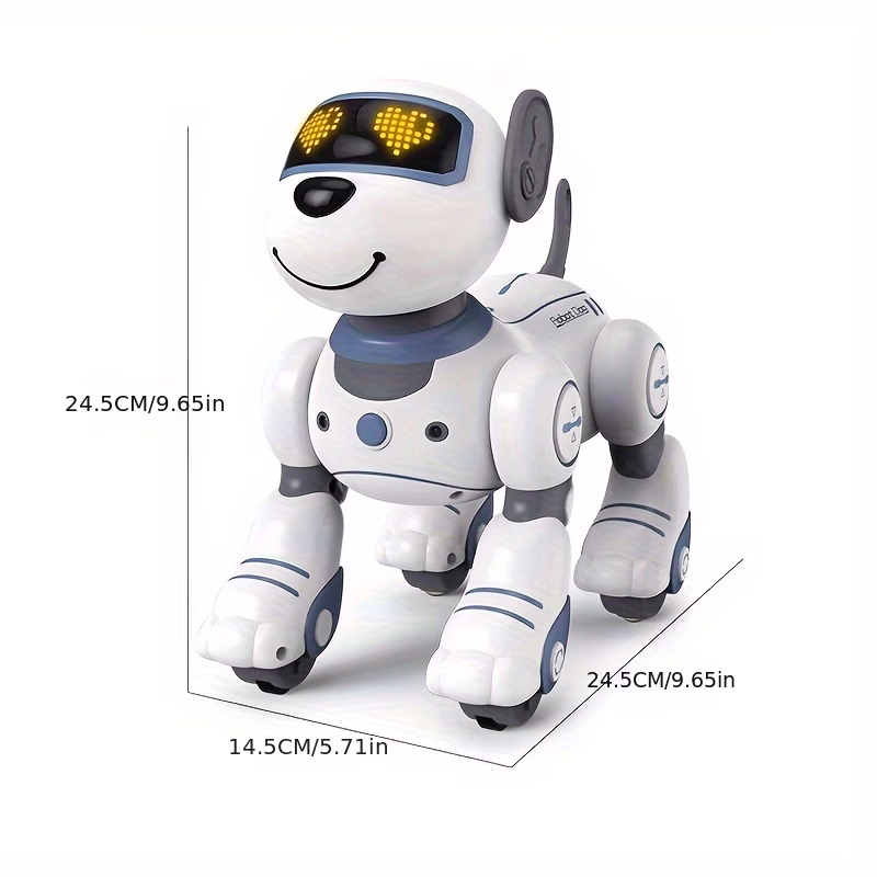 RC Robot
