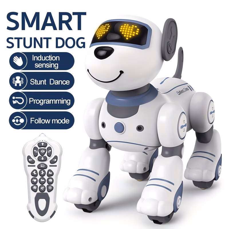 RC Robot