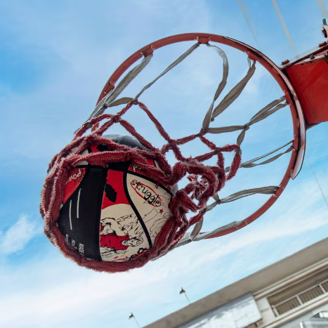 PSYCHE Competitive Training & Game Basketball