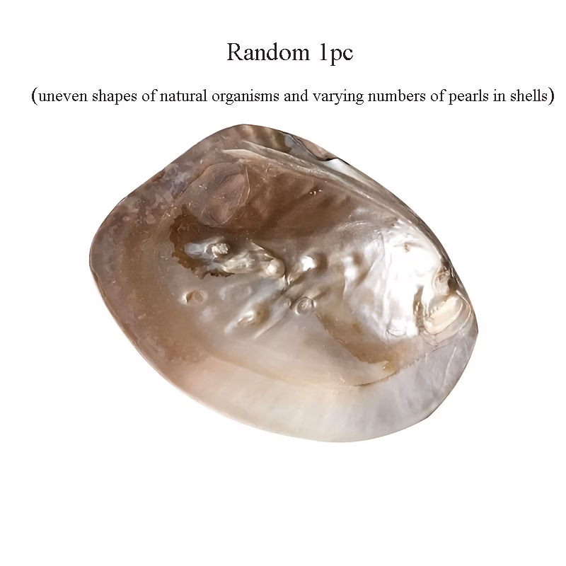  Pearl Seashell Decorative Tray