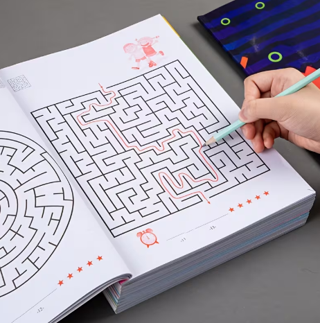 Focus Maze Training Book